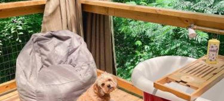 Outdoor Soaking Tub! Cozy Spot for Couples Getaway图片