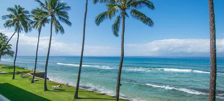 Papakea Resorts BEST Location - Water views, steps to ocean, BBQ & Pool!图片