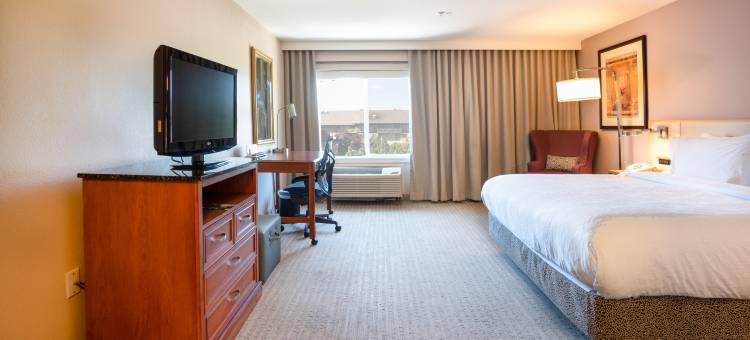 伦顿西雅图希尔顿花园酒店(Hilton Garden Inn Seattle/Renton)图片