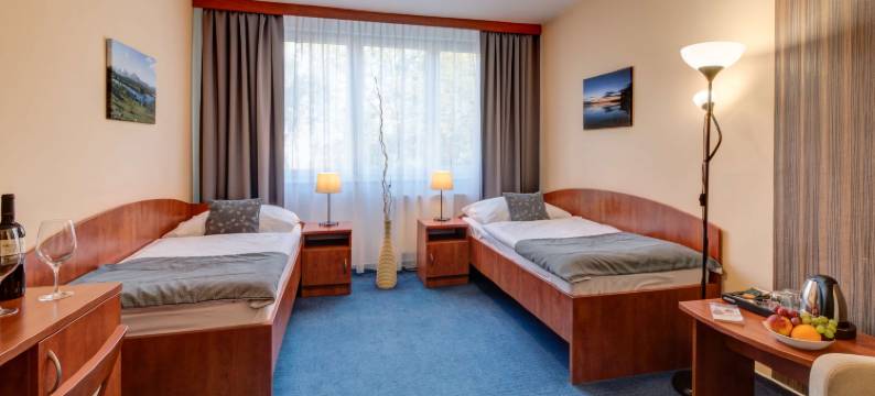 威斯特贝斯特韦斯特酒店(Best Western Hotel Vista)图片