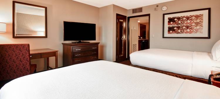 杜勒斯机场希尔顿安泊套房酒店(Embassy Suites by Hilton Dulles Airport)图片