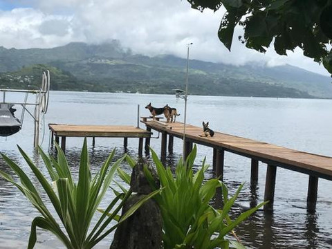 Toahere Beach House - Beachfront - Pool - Pontoon