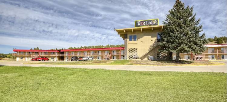 纽卡斯尔温德姆速 8 汽车旅馆(Super 8 by Wyndham Newcastle)图片