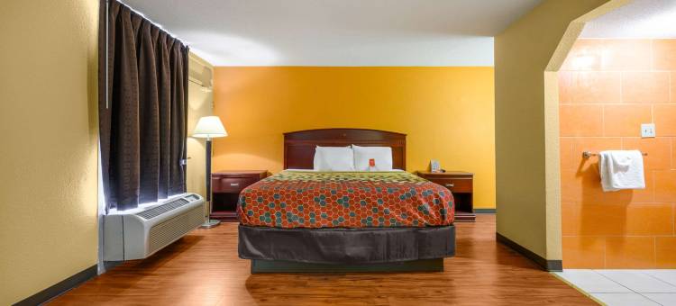 迪凯特伊克诺旅馆(Econo Lodge)图片