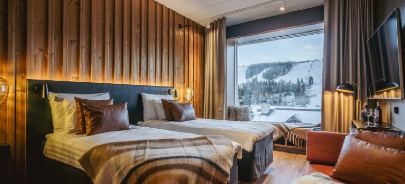 布里克索哥斯塔赫哥酒店(Break Sokos Hotel Tahko)图片