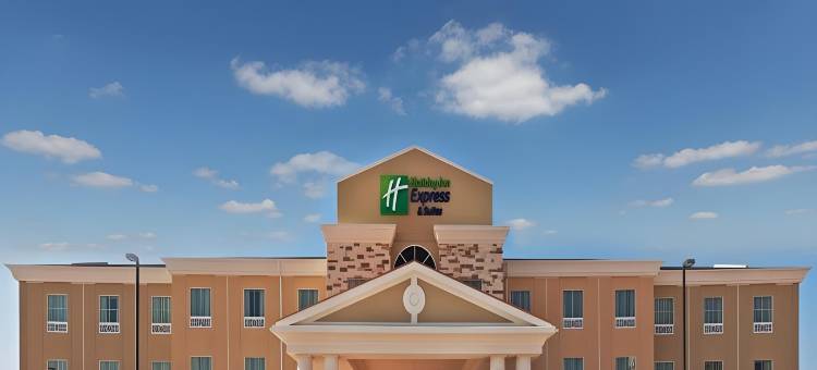 智选假日套房酒店布雷迪 by IHG(Holiday Inn Express & Suites Brady by IHG)图片