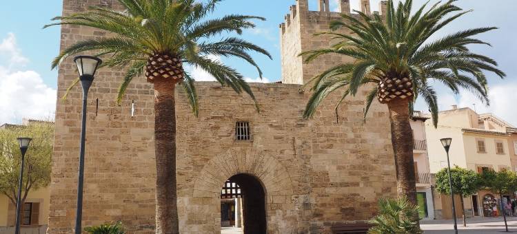 阿尔库迪亚小酒店(Alcudia Petit - Turismo de Interior)图片