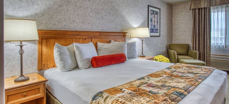 罗里与赖安汽车旅馆(Rory & Ryan Inn)图片