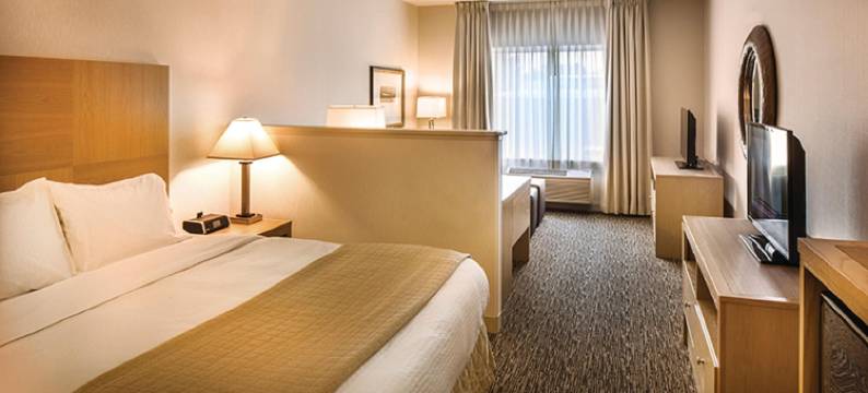 温哥华希尔顿逸林酒店(DoubleTree by Hilton Vancouver, Washington)图片