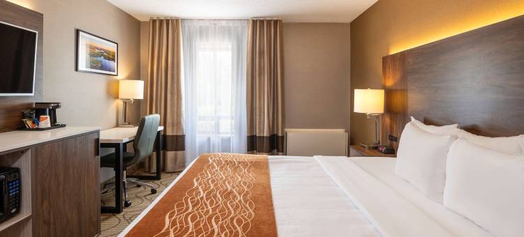 舒适酒店湖滨店(Comfort Inn Lakeshore)图片