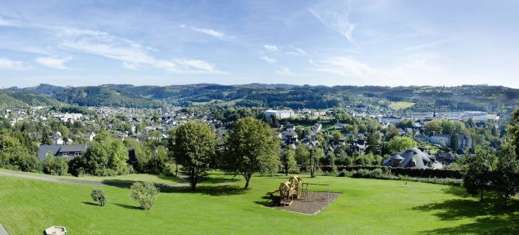 菲尼克斯酒店(Phönix Hotel)图片