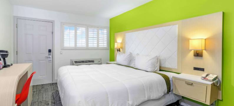 凯艺酒店-大学(Signature Inn Berkeley)图片