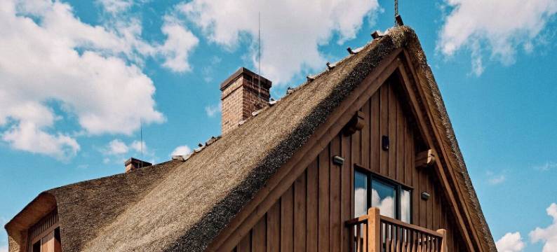 Siedlisko Milachowo 豪华康体酒店(Siedlisko Milachowo luxury wellness)图片