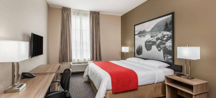 蒙洛里耶温德姆速8酒店(Super 8 by Wyndham Mont Laurier)图片