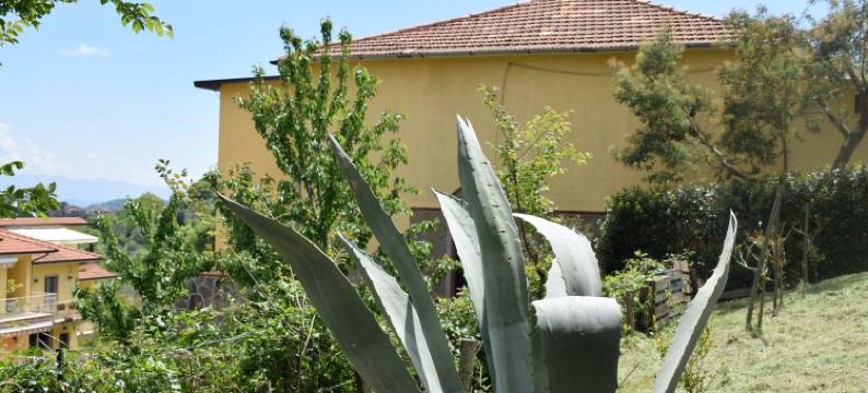 拉维奇雅塔韦尔纳家庭旅馆(La Vecchia Taverna B&B)图片