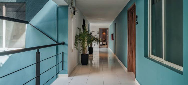卡萨诺瓦梅尼达酒店(Hotel Casa Nova, Merida)图片