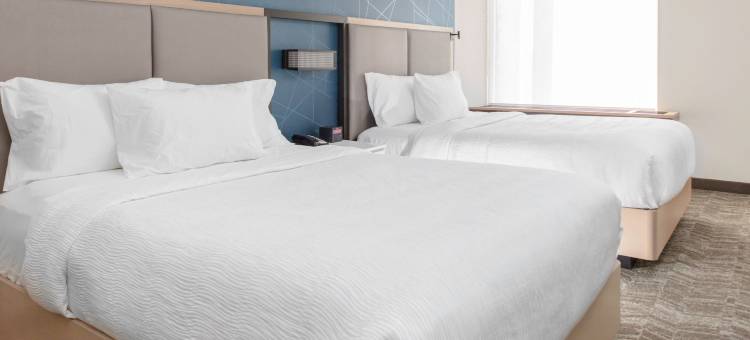 马里奥特杜汉姆市景观SpringHill套房(SpringHill Suites Durham City View)图片