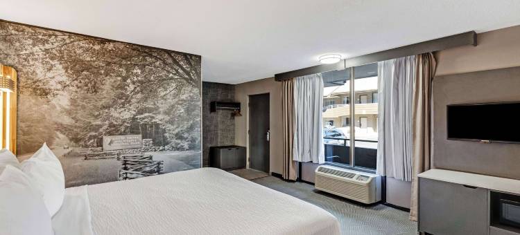 LeConte汽车旅馆华美达由维亚德姆(The Wander Hotel, a Ramada by Wyndham)图片