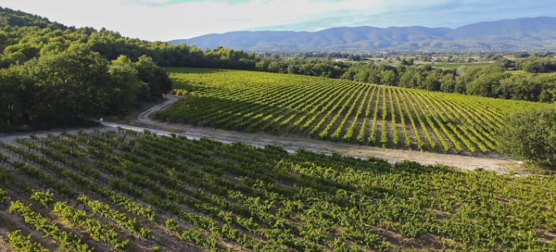 La Ferme HI 新娘农场(Domaine la Ferme HI Bride)图片