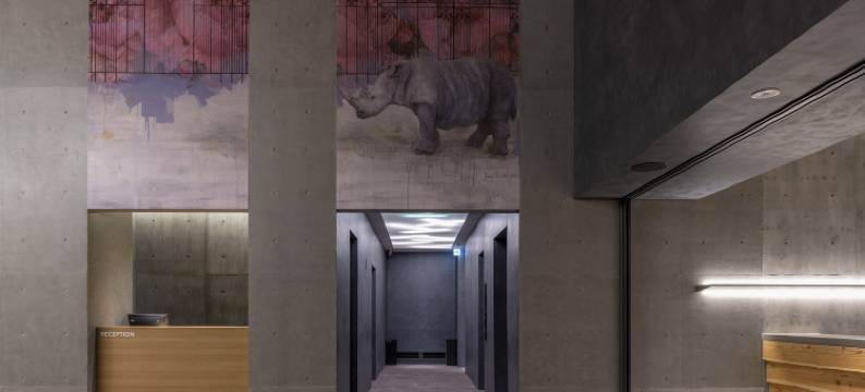 凤凰富良野(Fenix Furano)图片