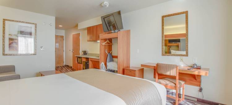 麦客达温德姆海湾海岸酒店(Microtel Inn & Suites by Wyndham Gulf Shores)图片