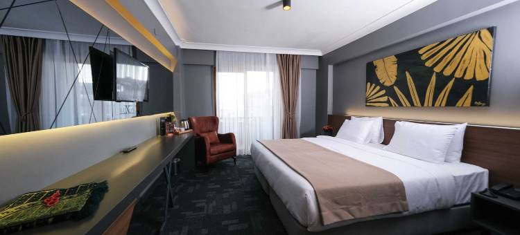 萨卡里亚卢克索酒店(Luxon Hotel Sakarya)图片