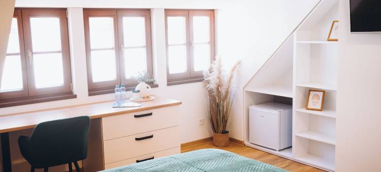 胖鸭膳宿公寓(Penzion Tlusta kachna)图片