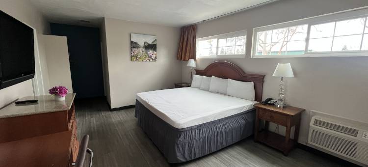 大学旅馆(University Inn Chico)图片