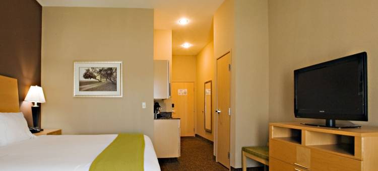 智选假日套房酒店博格 by IHG(Holiday Inn Express & Suites Borger)图片
