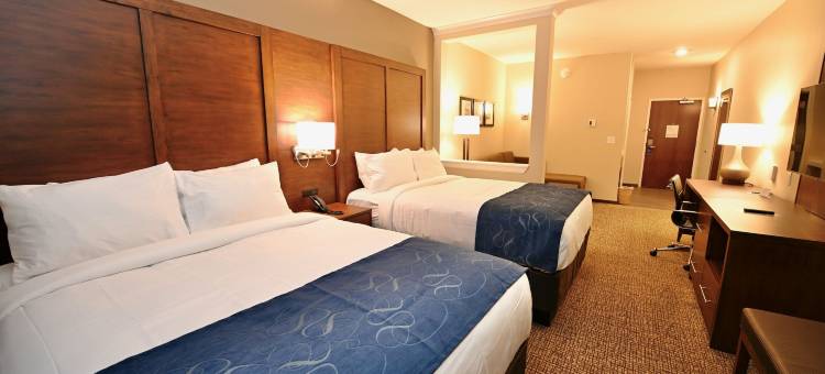 舒适套房酒店(Comfort Suites)图片