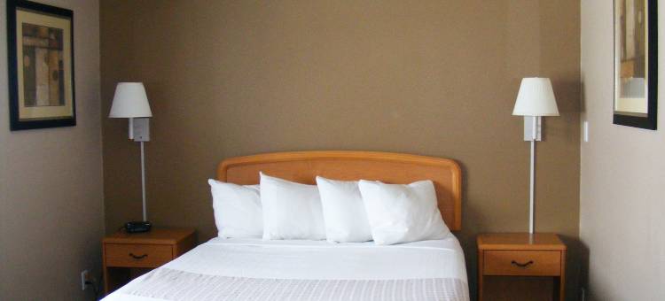 俾斯麦美洲最佳价值套房酒店(Americas Best Value Inn and Suites Bismarck)图片