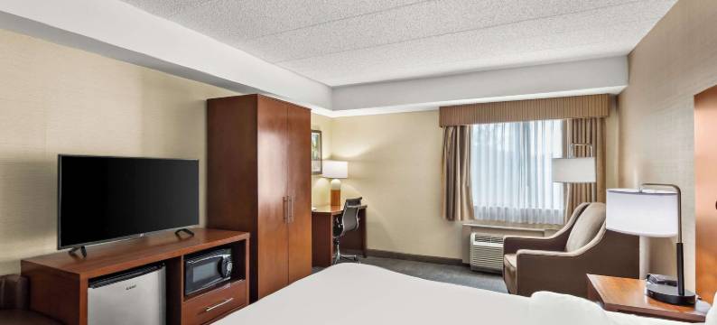 舒适酒店(Comfort Inn)图片