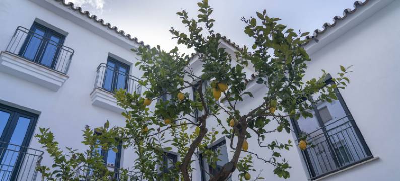 OPUNTIA精品酒店(Opuntia Hotel Boutique)图片