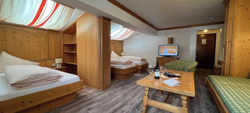 圣安东运动酒店(Sporthotel St. Anton)图片