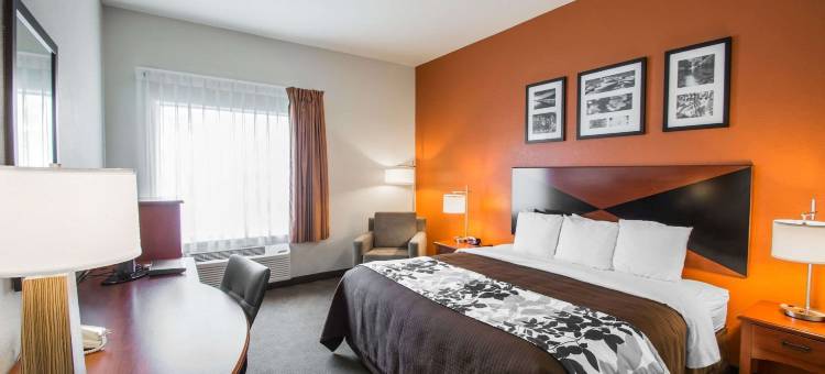 帕拉特卡北舒眠套房酒店(Sleep Inn & Suites Palatka North)图片