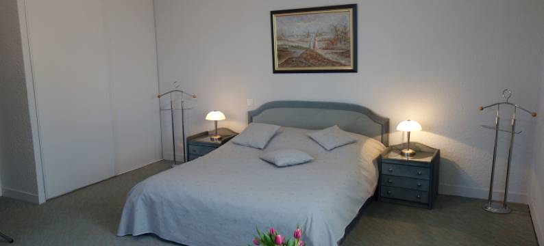 勒普拉塔恩酒店(Le Platane)图片