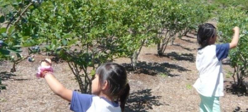 子宝之湯酒店(Kodakaranoyu Shiojiri Hotel)图片