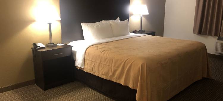 凯艺套房酒店(Quality Inn & Suites)图片