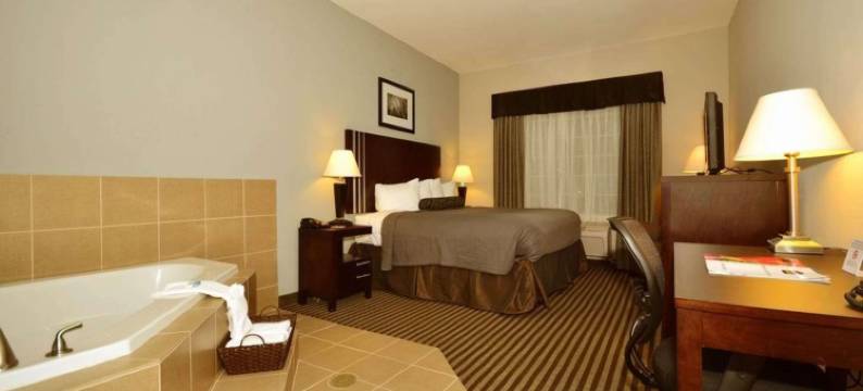 阿布维尔贝斯特韦斯特套房酒店(Best Western Abbeville Inn  Suites)图片