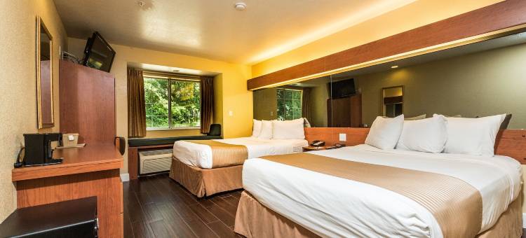 奥卡拉麦客达套房酒店(Microtel Inn & Suites by Wyndham Ocala)图片
