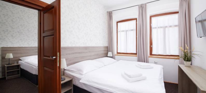 乌帕河畔斯沃博达滑雪酒店(Ski Hotel Svoboda Nad Úpou)图片