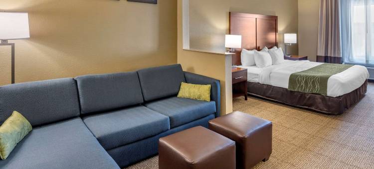 舒适套房酒店(Comfort Inn & Suites)图片