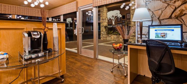 松树贝斯特韦斯特酒店(Best Western Pine Tree Motel)图片