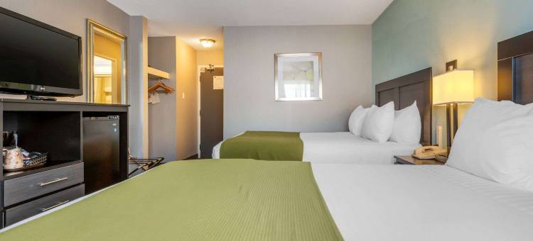 品质酒店及套房(Quality Inn & Suites 5585 Ambler Drive Mississauga Ontario)图片