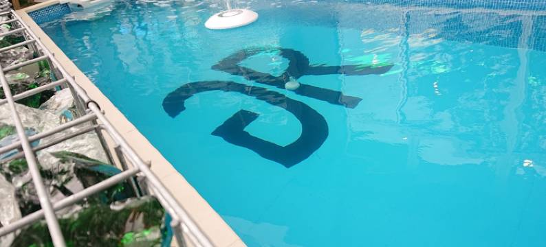 冲绳名护人工温泉二股汤之华格林里奇酒店(Green Rich Hotel Okinawa Nago (Artificial Hot Spring Futamata Yunohana))图片