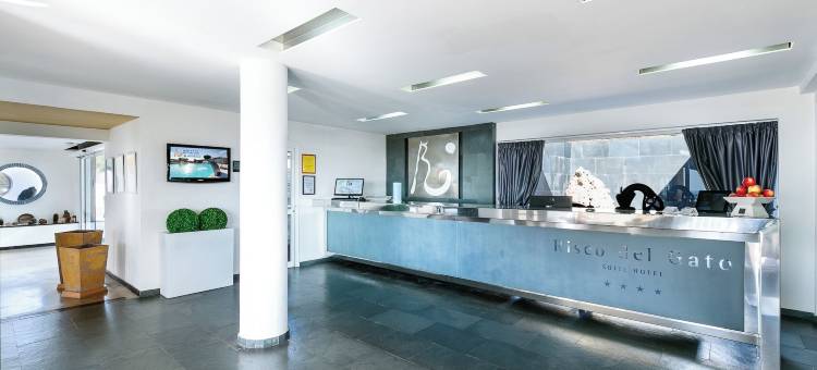 加托里斯柯套房 LIVVO 酒店(Hotel LIVVO Risco del Gato Suites)图片