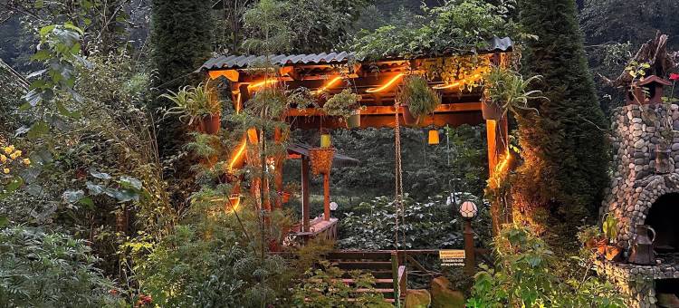 尼赫尔平房酒店(Nehir Bungalows-26436)图片