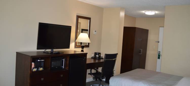 奥黑尔机场凯艺酒店(Quality Inn O'Hare Airport)图片