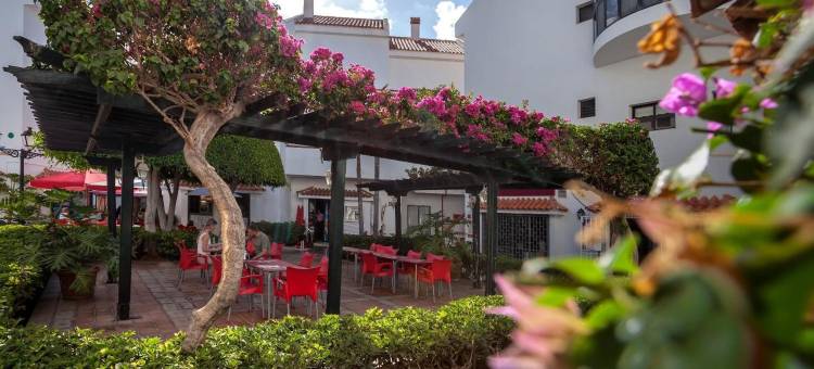 克里斯蒂安苏尔公寓酒店(Apartamentos HG Cristian Sur)图片