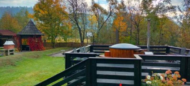 Pensiunea Irina图片